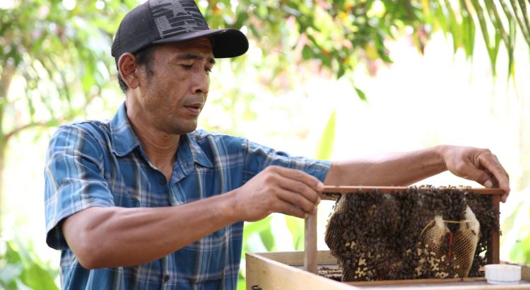 Desa Makmur Peduli Api