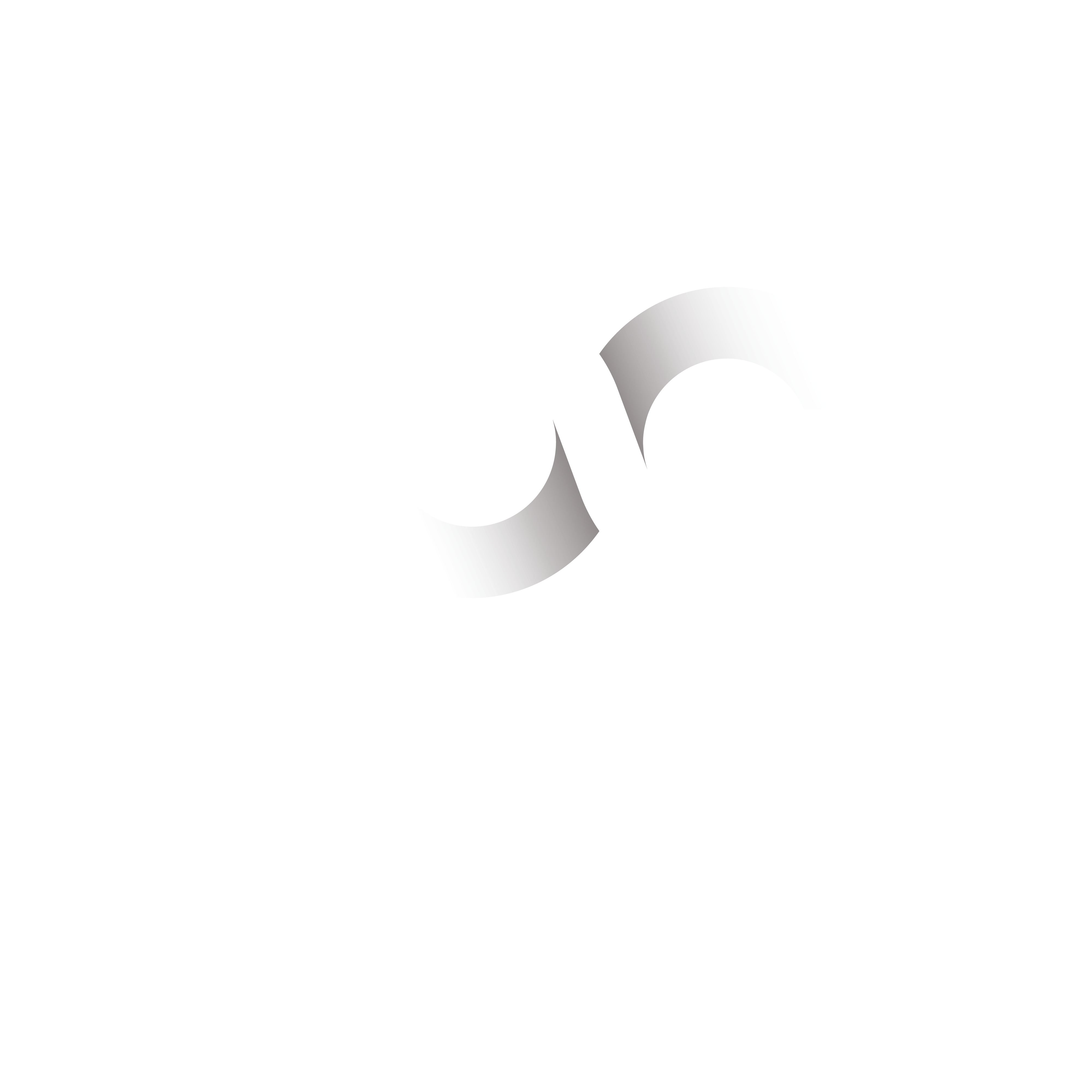 100 Tahun Eka Tjipta Widjaja